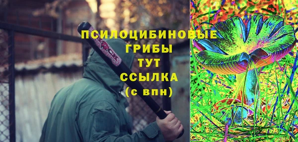 Альфа ПВП Горно-Алтайск