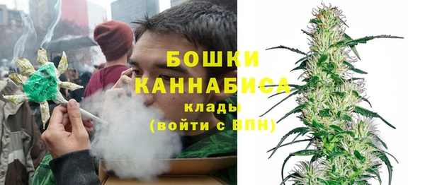 МДПВ Вяземский